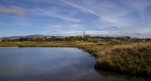 Vatnsmýri séð yfir Hallgrímskirkju